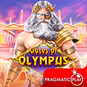 Cổng Olympus 8xx1a